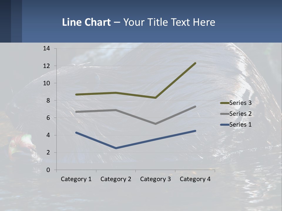 Coast Sea Coastal PowerPoint Template
