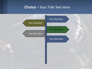 Coast Sea Coastal PowerPoint Template