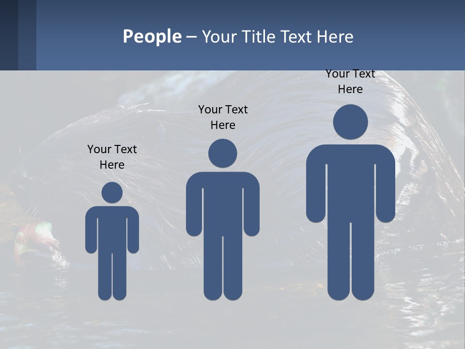 Coast Sea Coastal PowerPoint Template