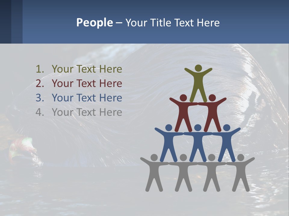 Coast Sea Coastal PowerPoint Template