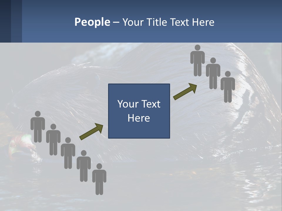 Coast Sea Coastal PowerPoint Template