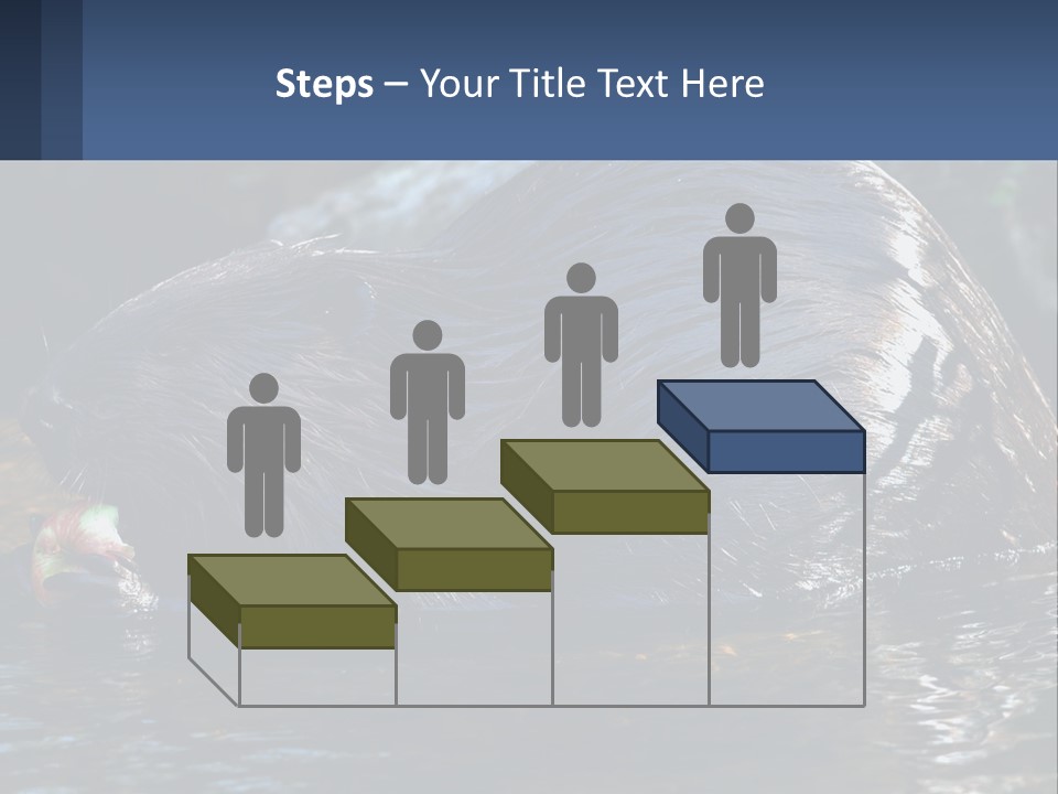 Coast Sea Coastal PowerPoint Template