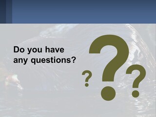 Coast Sea Coastal PowerPoint Template
