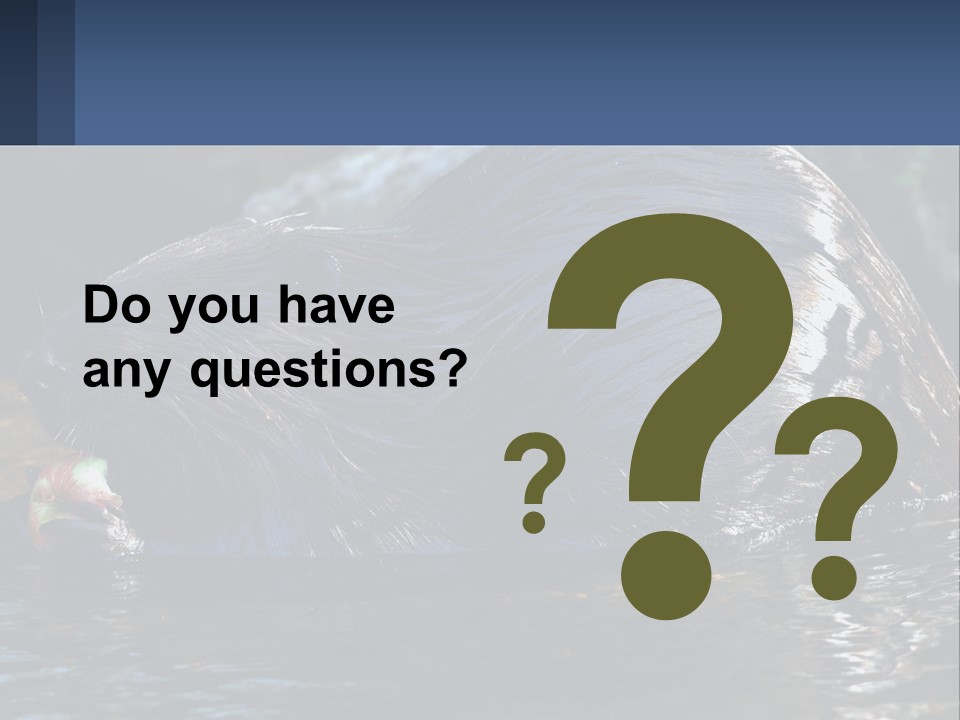 Coast Sea Coastal PowerPoint Template