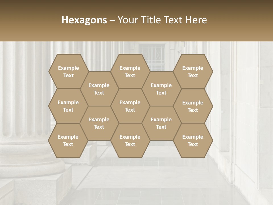 Retired Ocean Life PowerPoint Template