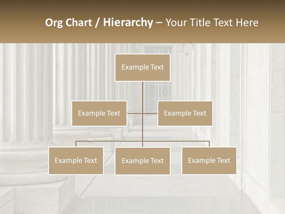 Retired Ocean Life PowerPoint Template