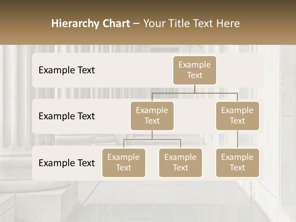 Retired Ocean Life PowerPoint Template