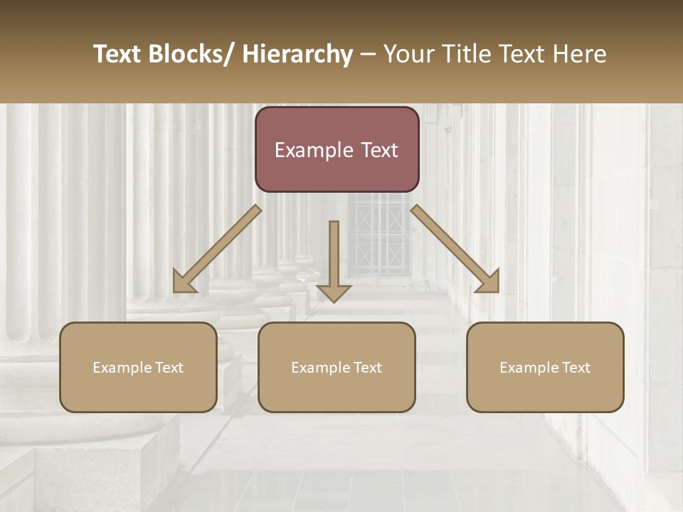 Retired Ocean Life PowerPoint Template