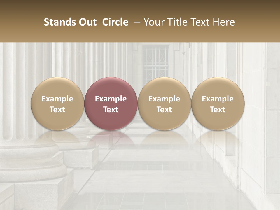 Retired Ocean Life PowerPoint Template