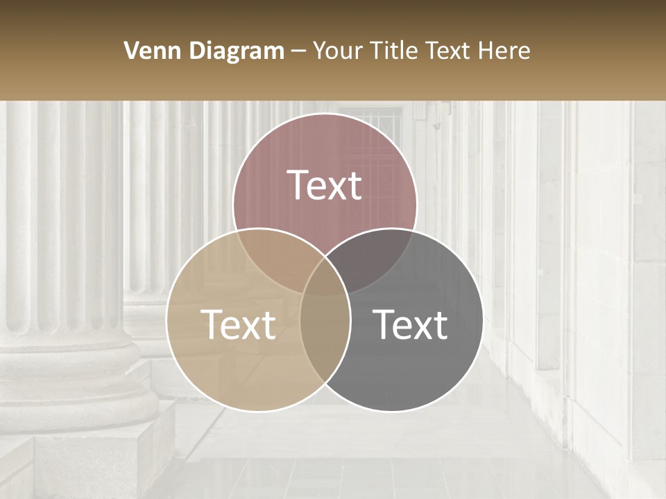 Retired Ocean Life PowerPoint Template