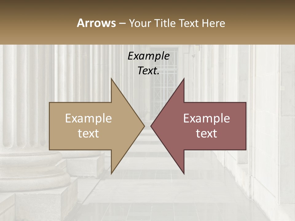 Retired Ocean Life PowerPoint Template