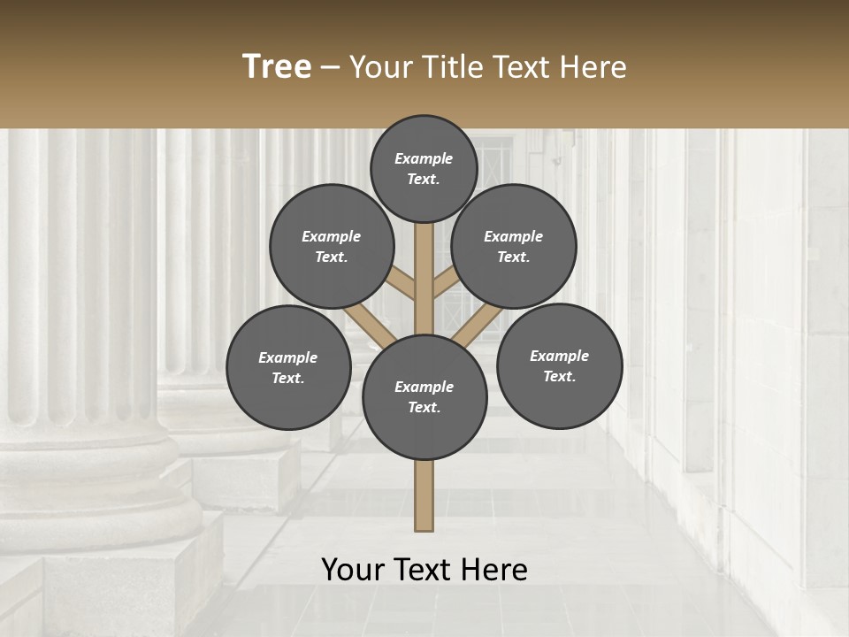 Retired Ocean Life PowerPoint Template