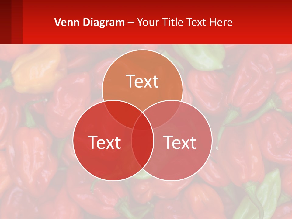 Coastal Sunset Old PowerPoint Template