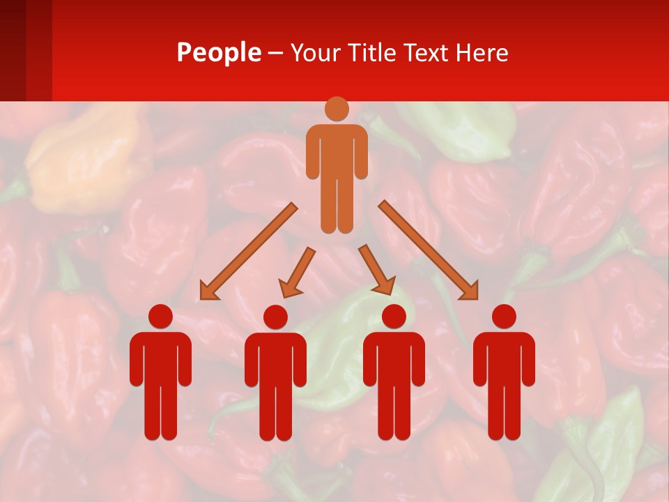 Coastal Sunset Old PowerPoint Template