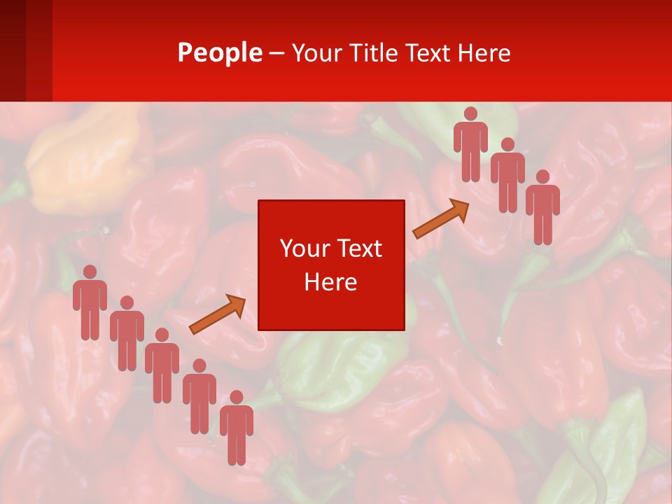 Coastal Sunset Old PowerPoint Template