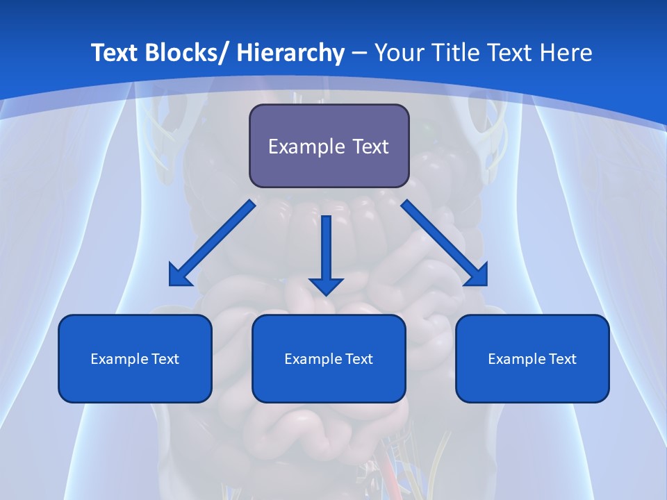 Retirement Senior Pensioner PowerPoint Template