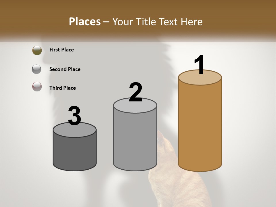 White Wellness Senior PowerPoint Template