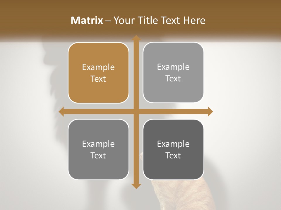 White Wellness Senior PowerPoint Template