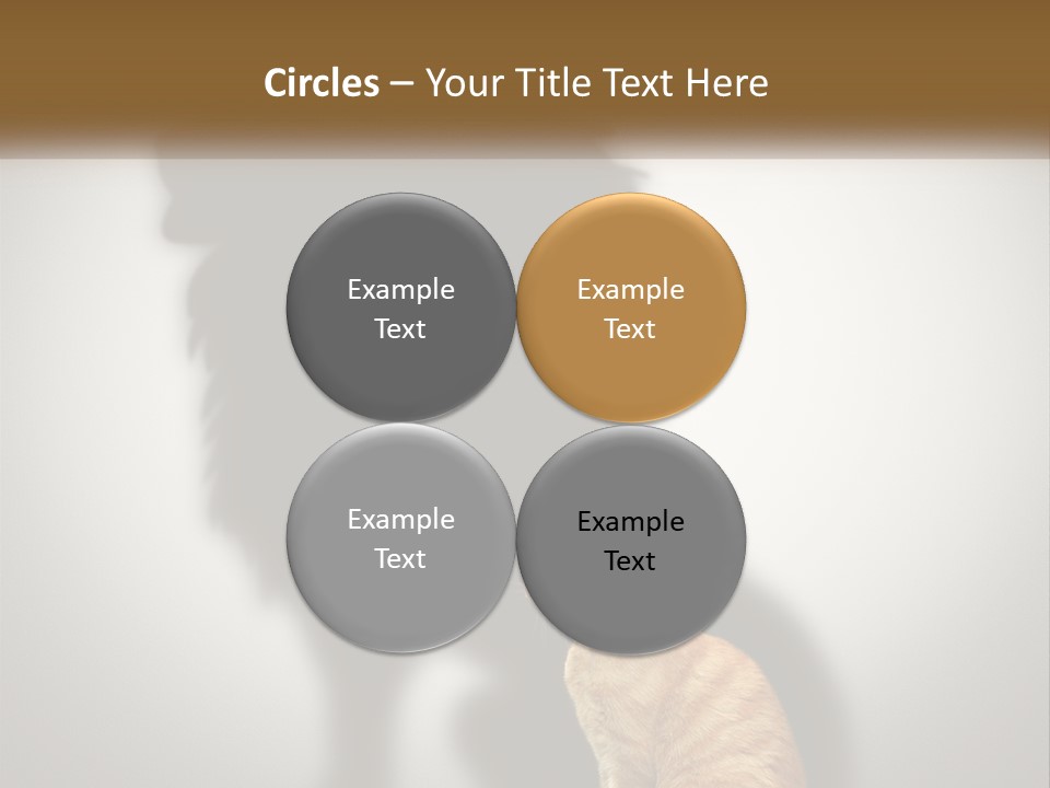 White Wellness Senior PowerPoint Template