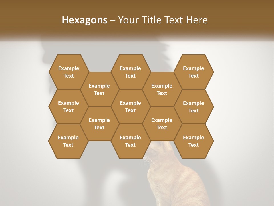 White Wellness Senior PowerPoint Template