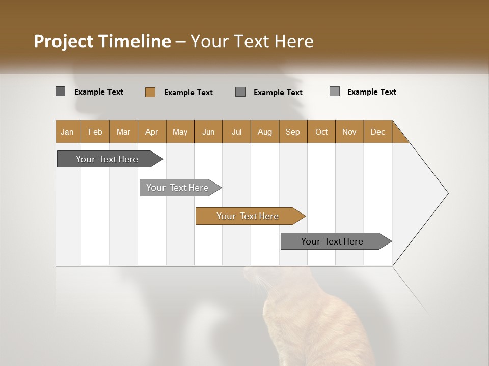 White Wellness Senior PowerPoint Template