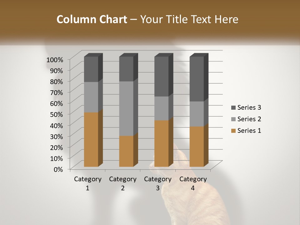 White Wellness Senior PowerPoint Template