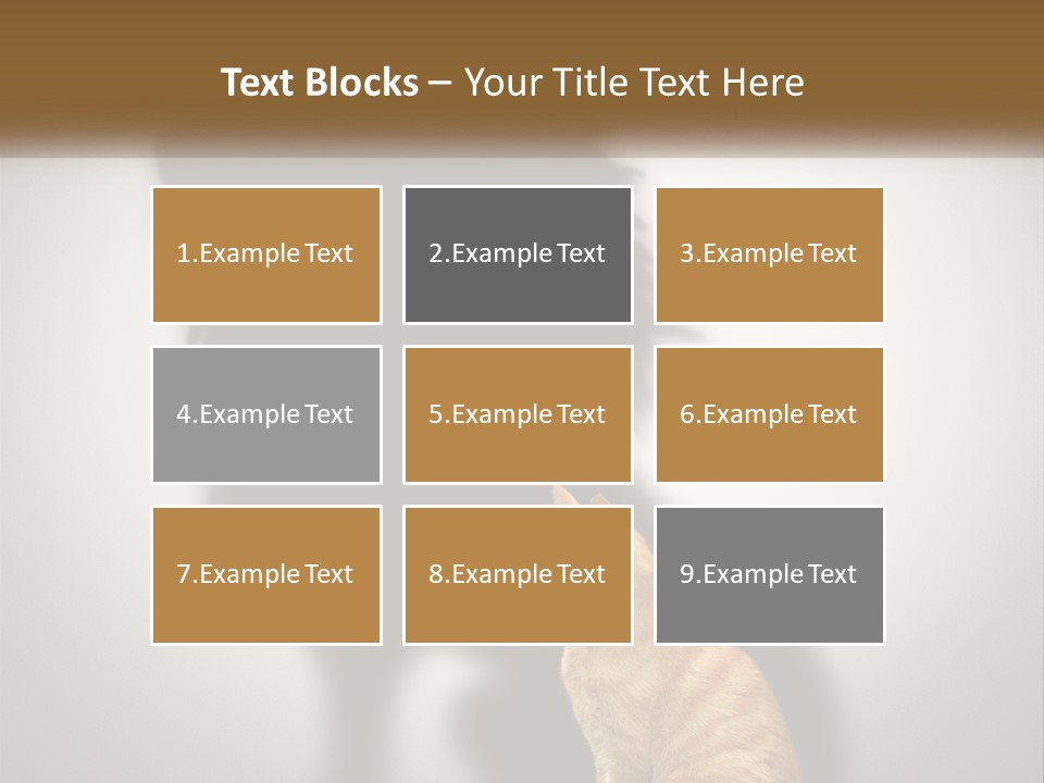 White Wellness Senior PowerPoint Template