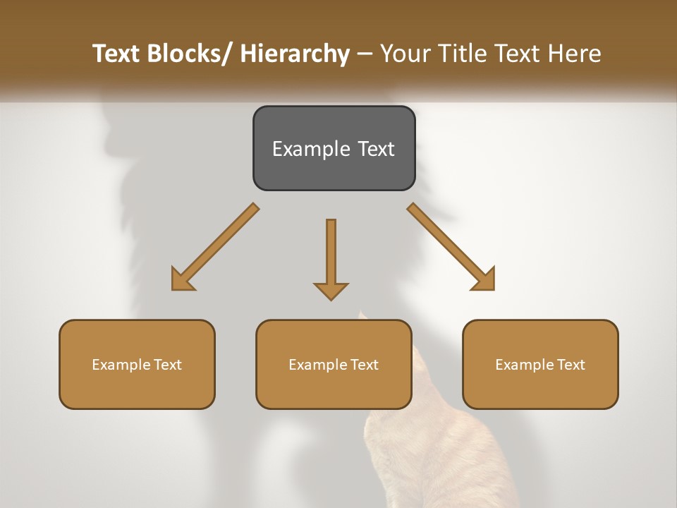 White Wellness Senior PowerPoint Template