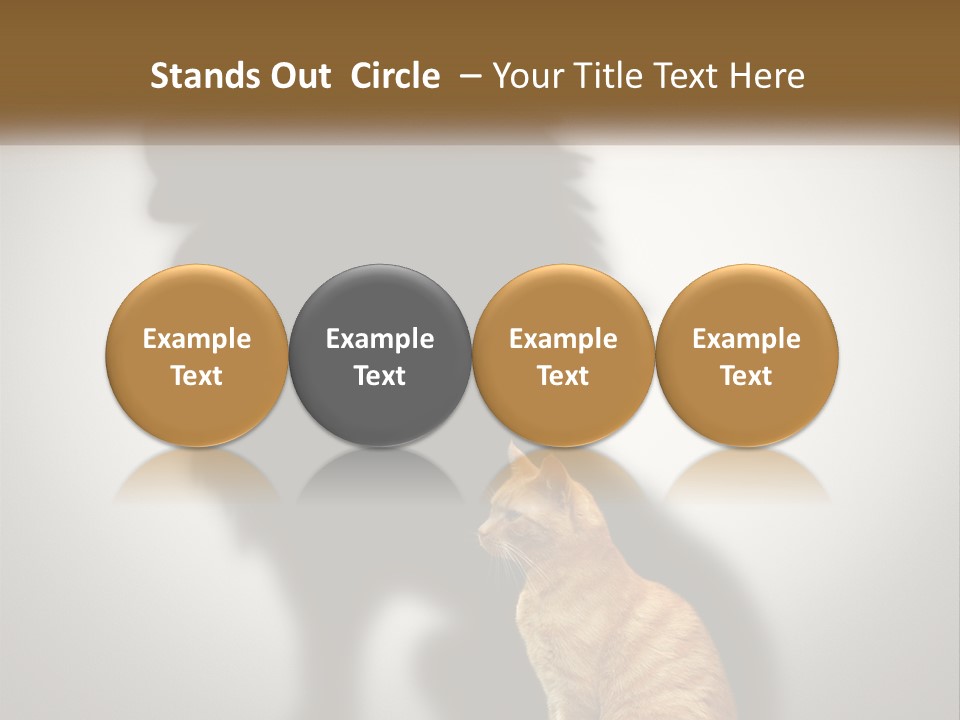 White Wellness Senior PowerPoint Template