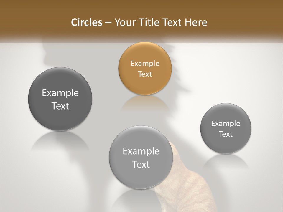 White Wellness Senior PowerPoint Template