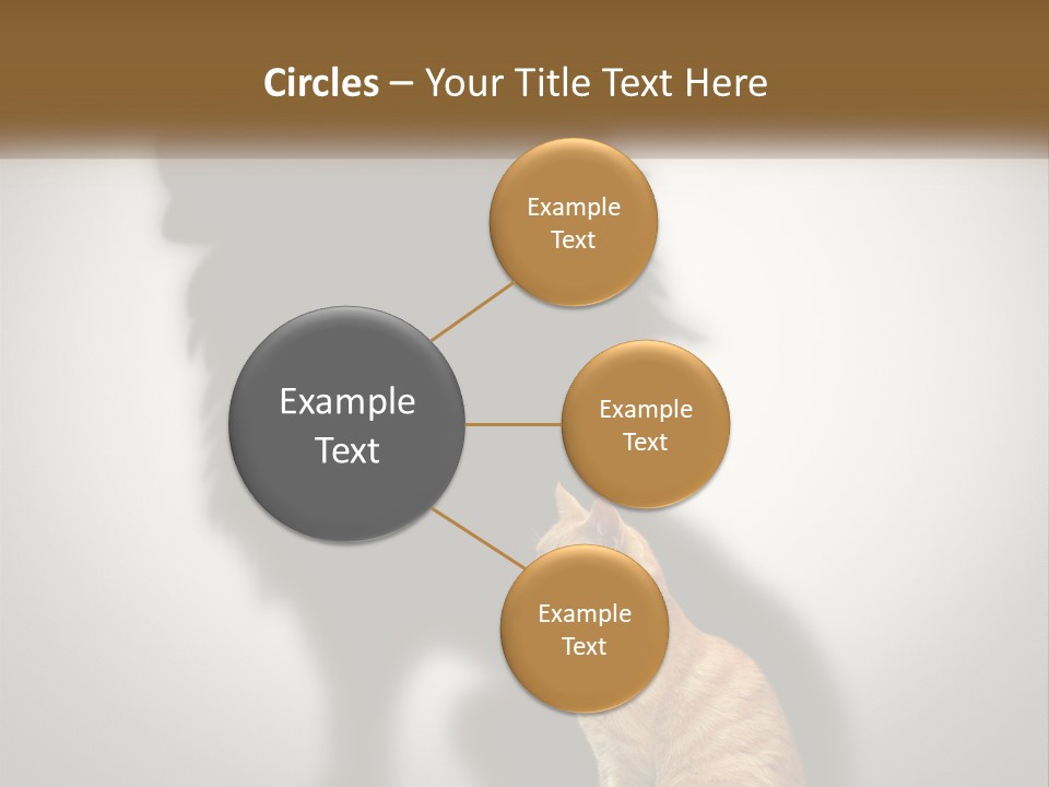 White Wellness Senior PowerPoint Template