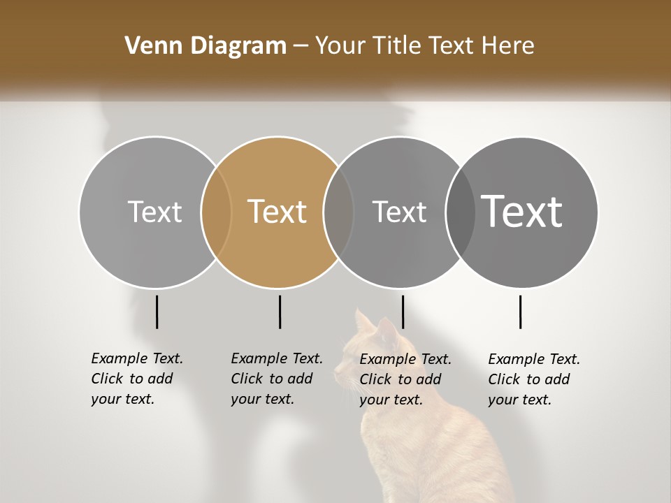 White Wellness Senior PowerPoint Template