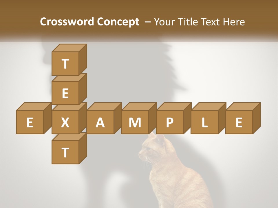 White Wellness Senior PowerPoint Template