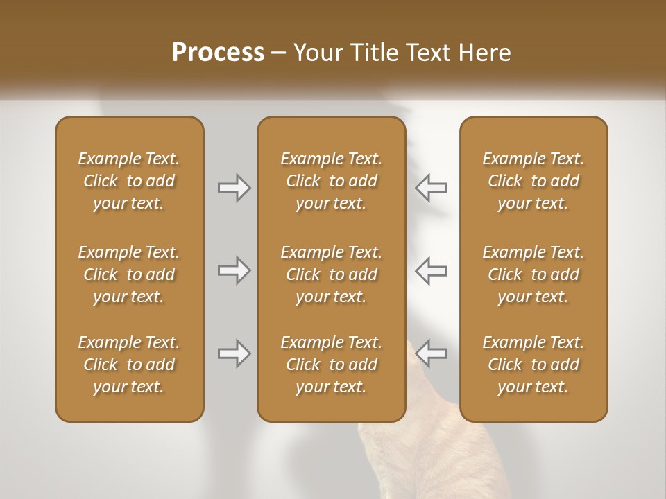 White Wellness Senior PowerPoint Template