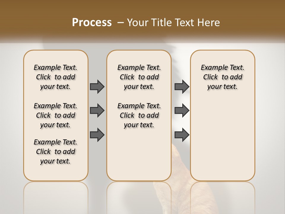 White Wellness Senior PowerPoint Template