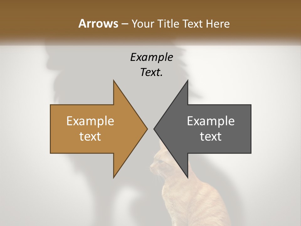 White Wellness Senior PowerPoint Template