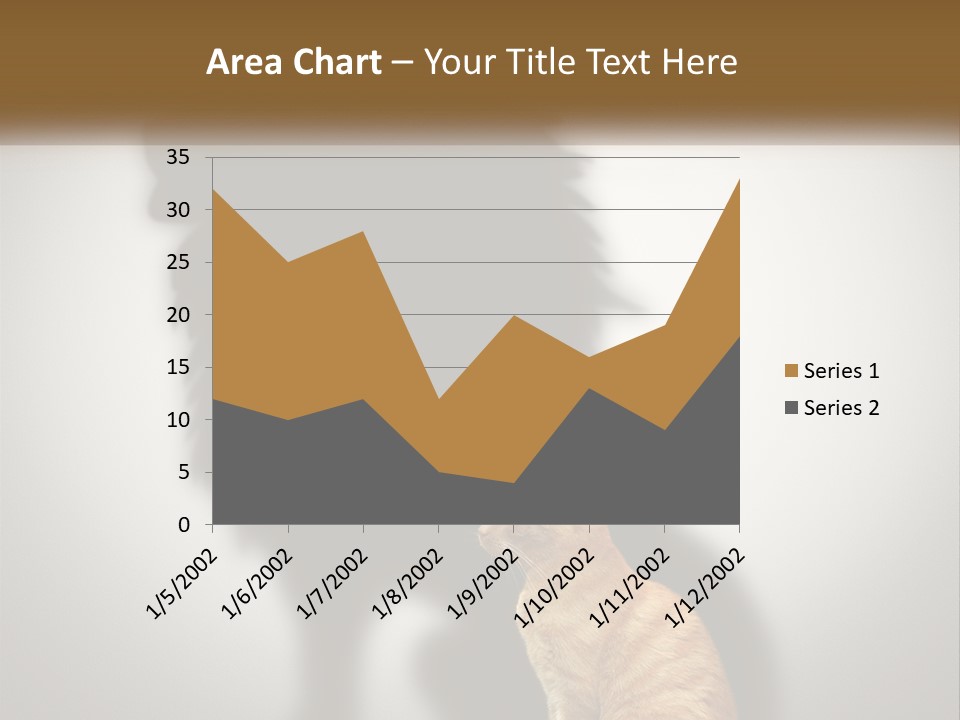White Wellness Senior PowerPoint Template