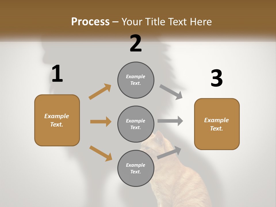 White Wellness Senior PowerPoint Template
