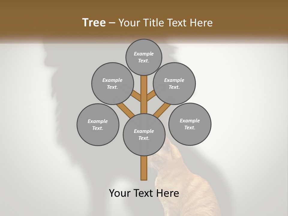 White Wellness Senior PowerPoint Template