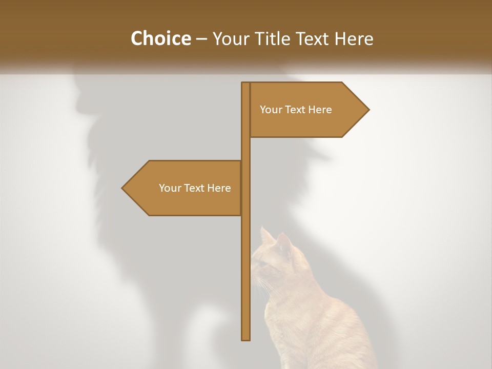 White Wellness Senior PowerPoint Template
