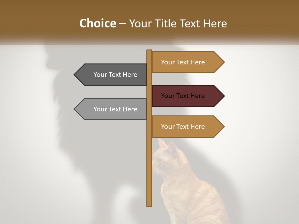White Wellness Senior PowerPoint Template