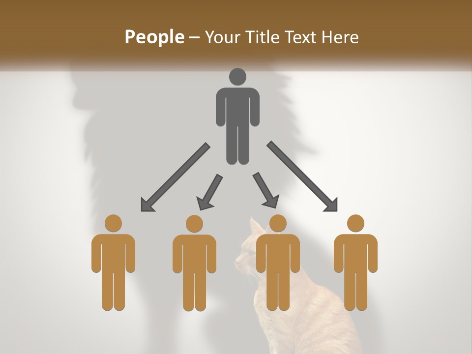 White Wellness Senior PowerPoint Template