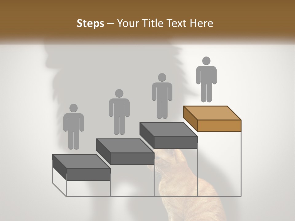 White Wellness Senior PowerPoint Template