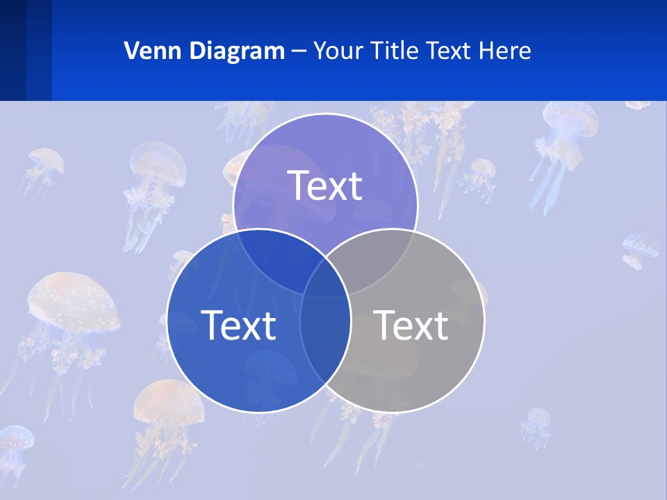 Family Portrait Pensioner PowerPoint Template
