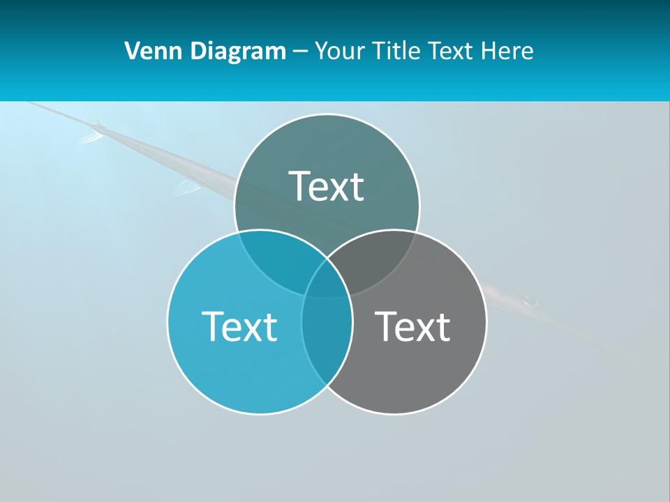 Sunset Daughter Coastal PowerPoint Template