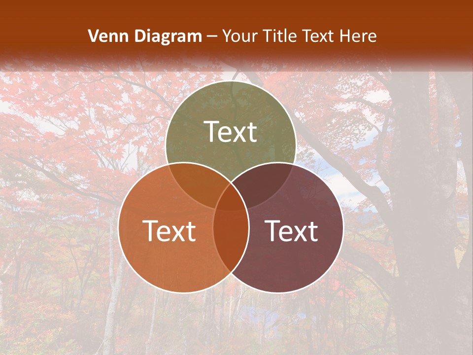 Daughter Woman Sunset PowerPoint Template