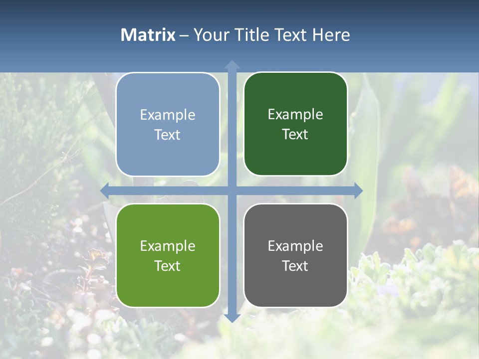 Sand Sea Caucasian PowerPoint Template