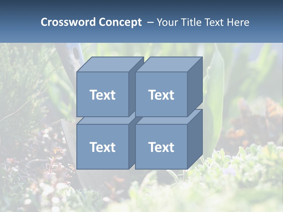 Sand Sea Caucasian PowerPoint Template