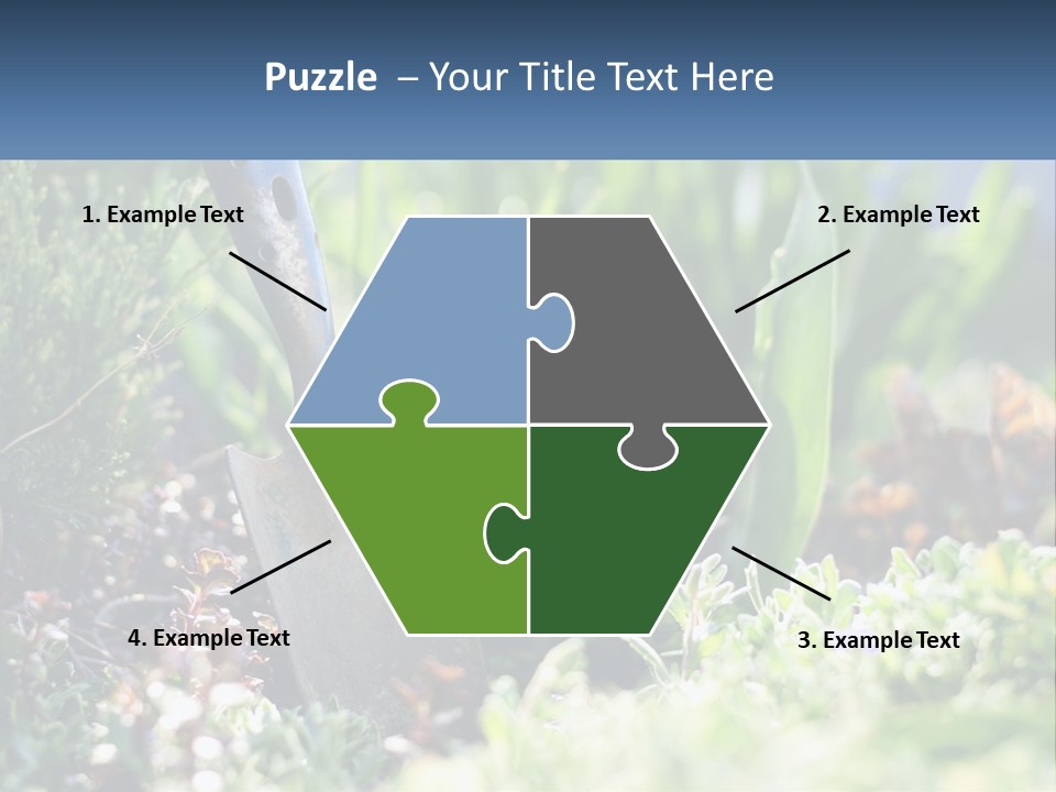 Sand Sea Caucasian PowerPoint Template