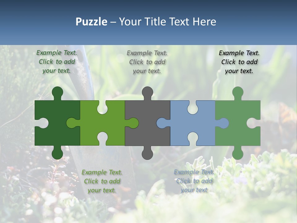 Sand Sea Caucasian PowerPoint Template